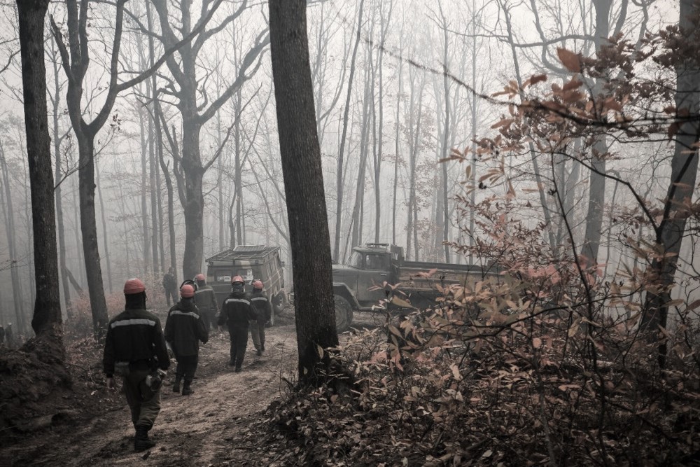 Для предотвращения лесных пожаров на Кубани будут задействованы люди и техника